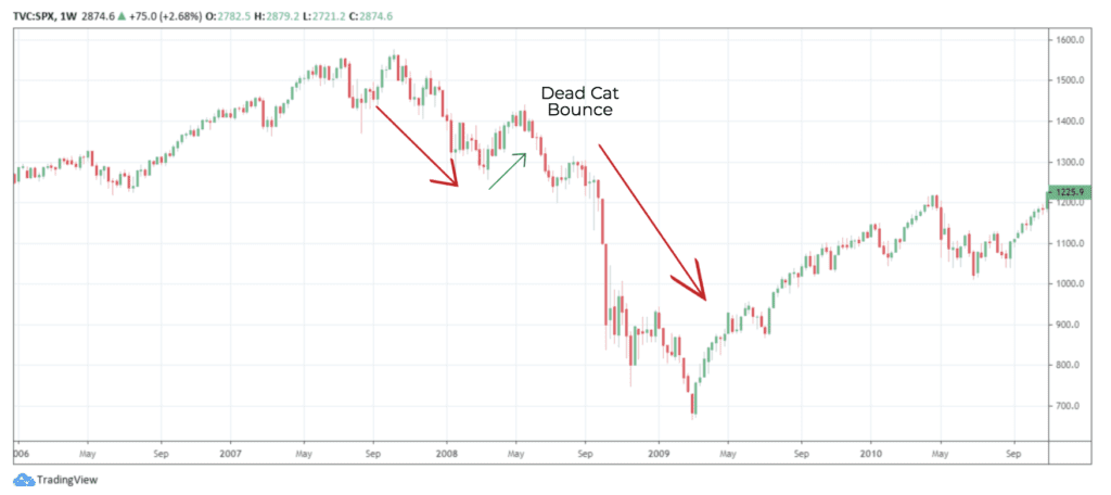 Dead Cat Bounce